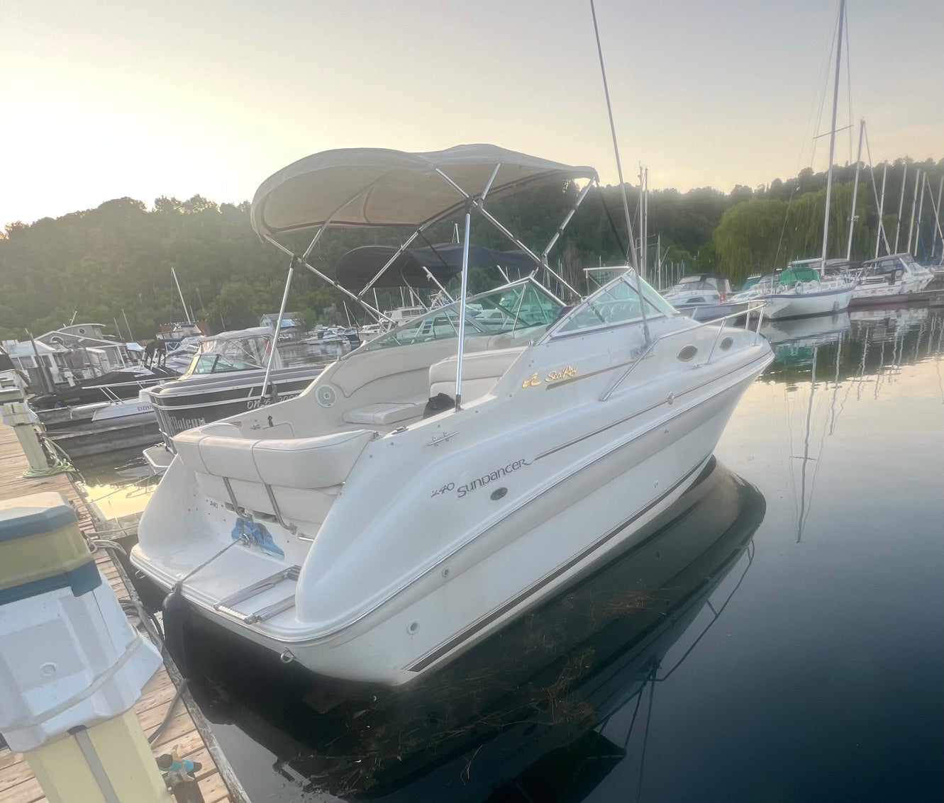 Boat Charter - City View Tour (2 Hours)